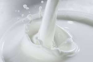 煮牛奶加糖会破坏营养吗-煮牛奶加糖破坏营养介绍